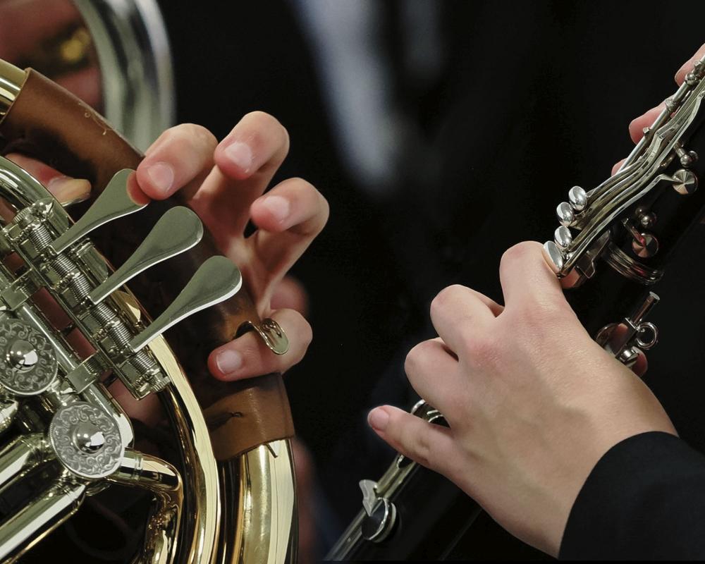 Progetto: Circolo Musicale Rinaldi